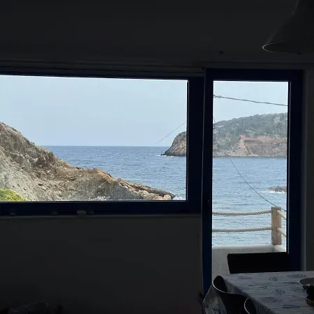 The House